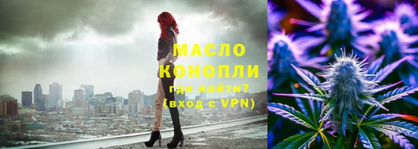 индика Медногорск
