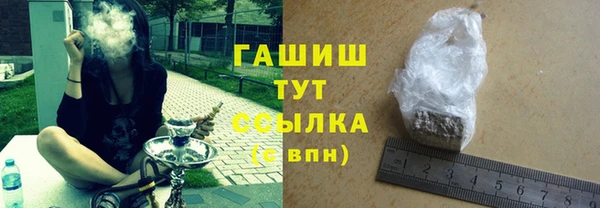 индика Медногорск