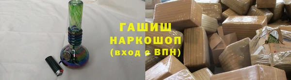 индика Медногорск