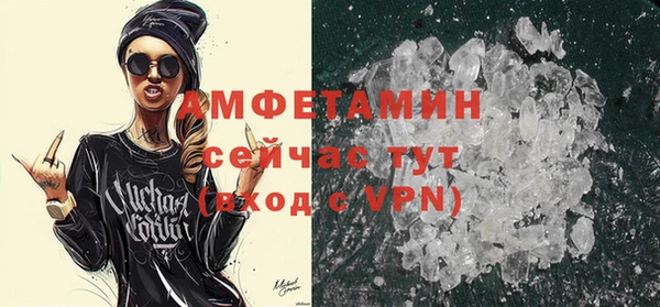 индика Медногорск