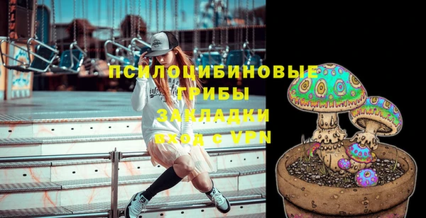 молекула духа Мегион