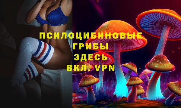 индика Медногорск