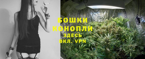 молекула духа Мегион