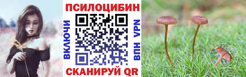 хочу наркоту  Поворино  Галлюциногенные грибы мицелий 